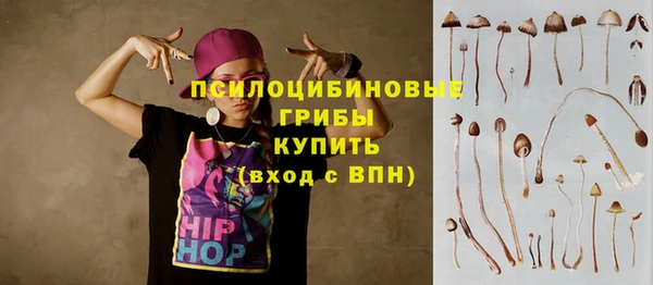 стафф Абаза